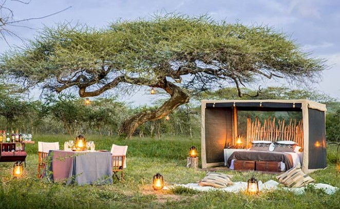 Mwiba Lodge thumbnail 3